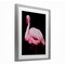 Stupell Industries Contrasting Flamingo on Black Framed Print Under Glass, design by James Corwin